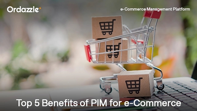 Top 5 Advantages of Implementing a PIM System for Your e-Commerce Store