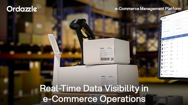 Why Real-Time Data Visibility is Critical for e-Commerce Decision-Making